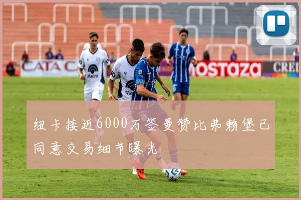 纽卡接近6000万签曼赞比弗赖堡已同意交易细节曝光