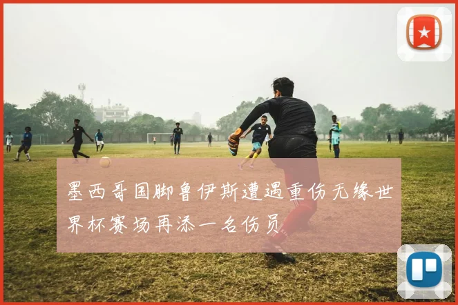 墨西哥国脚鲁伊斯遭遇重伤无缘世界杯赛场再添一名伤员